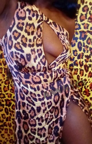 Ann Ryce, 34 years old  escort in Charlotte